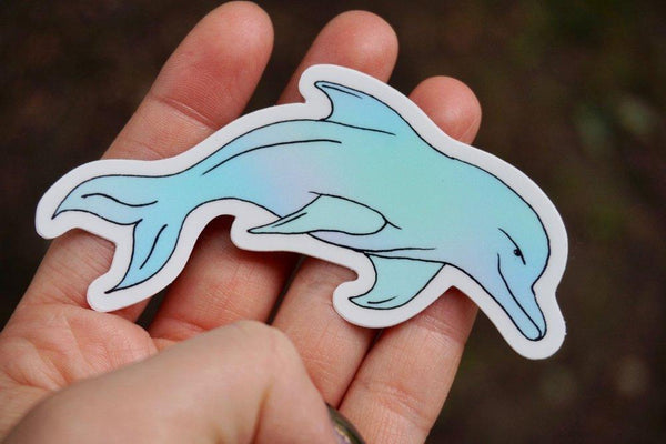 Dolphin