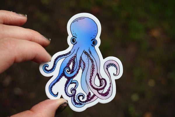 Octopus